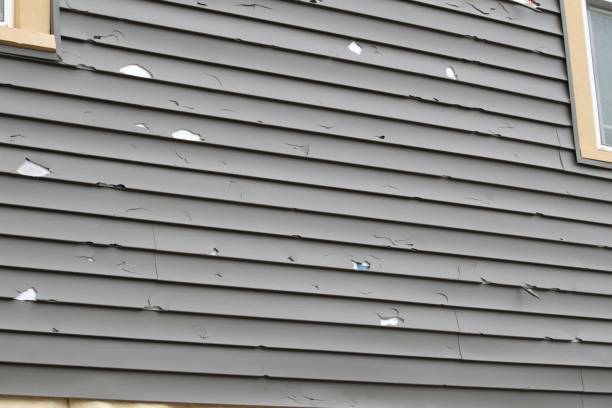 Affordable siding repair and maintenance services in Melvindale, MI