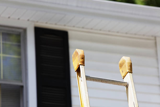 Best Aluminum Siding Installation  in Melvindale, MI
